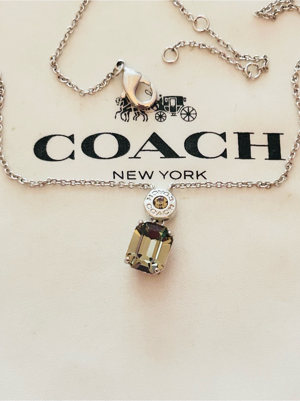 Coach Smoky Gray Stone Charm Necklace - Picture 4 of 14